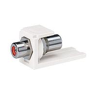 Hộp Nối Module Pass Through Mod RCA Đầu Vào Màu Đỏ Panduit CMRPRIG