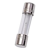 Mersen GDG10 미지트 퓨즈, 미지트, 타임 딜레이, 유리, PC 마운트, 250VAC, 10A