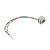 Đầu Nối Hirose Electric TM1RV-623K66-4S-150M