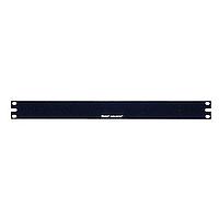 Panduit DPFP1 Filler Panel Filler Panel 1 RU