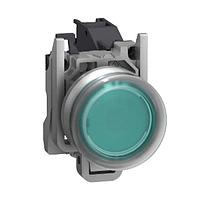 Công tắc tiêu chuẩn Haz Loc - PB màu xanh lá với vỏ bảo vệ SCHNEIDER XB4BP31GEX