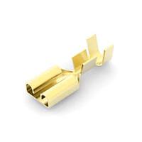 Ổ cắm .250 FF REC 016BR AMP Connectors - TE Connectivity 42282-1