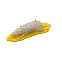 Mô hình chuột cắt lát để chụp X-quang CT True Phantom Solutions RT-C04