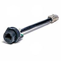 Đầu nối RJ45 ngoài trời, Phụ kiện, Kích thước lớn, 1.5A, Bộ chuyển đổi I, Dẫn truyền, Ren vít, Thẳng, IP67 Amphenol LTW RDP-00BFFA-SLM7002