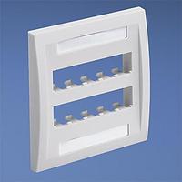 Panduit CFPE10EI-2GY Wire Ducting & Raceways Faceplate 10 Port Double Gang Executi