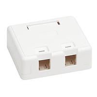Hộp Gắn Bề Mặt N082-002-WH Tripp Lite N082-002-WH