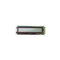 Mô-đun Hiển Thị Ký Tự LCD InfoVue Chuẩn 24x2 STN, Phản Chiếu Lumex LCM-S02402DSR