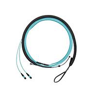 Dây Cáp Quang Lắp Ráp OM5 Sig Core 12 Sợi Chính LSZH PanMPO Đực/Cái Panduit FWTYL7575LAM094