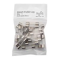 Cầu Chì Thủy Tinh SNAP 1-Amp, Gói 25 Cái Opto 22 SNAP-FUSE1AB