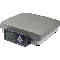 Mettler Toledo 30131066 BC Scale BCA-221-15U-1131-110