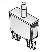 Công Tắc Nhấn 10A DPDT MOM QC TERM ZF Electronics E79-00A