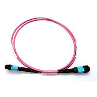 Bộ cáp quang cáp trục quang MTP12-F đến MP12-F, chiều dài 1m, Cực tính B Techway EXTENDER MTP12-F 1M POLARITY B