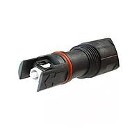 Dây Cáp Quang Lắp Ráp PIGTAIL, H-CONN, CÁP PHẲNG RƠI SM, 1m Amphenol Fiber Optics 942-98468-10001