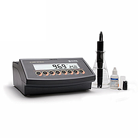 Hanna HI2400-02 용존 산소 측정기 (0.00 - 45.00 mg / L)