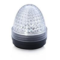 Đèn Báo Gắn Bảng LED Đỏ 24V IP65/67 Đầu Nối M12 RAFI 1.69.010.003/1300