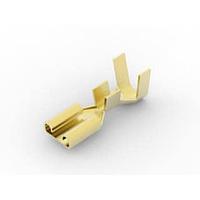 AMP Connectors - TE Connectivity 63831-1 Receptacle RCPT FASTON 250 IS