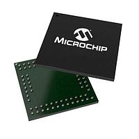 IC Công Tắc Tương Tự 32 Kênh Công Tắc Đơn SPST Điện Áp Cao Microchip Technology HV2802GA-G