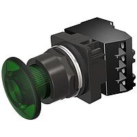 Push-Pull PP2, NEMA4X, MTD, FV 24V, ĐÈN XANH CHIẾU SÁNG ĐẦY ĐỦ, NO-NC SIEMENS 52BP2DSA