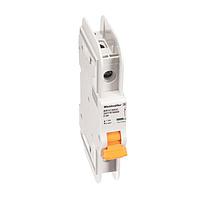 Weidmuller 2477970000 Thermal-Magnetic MCB 489 1P C 30A ACDC