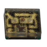 Inolux IN-PI10TAT5R5G5B 単色LEDトップビュー / 1010 / 1.1 x 1.1 x 0.33mm