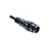 Amphenol LTW BD-02AMMM-QL8D04 Sensor Cables / Actuator Cables X-Lok, Standard Size, Plastic, 5A, 02 pins, Male Connector, Male Contact, Straight, Push Lock, Overmolded, Length 4000mm, IP68