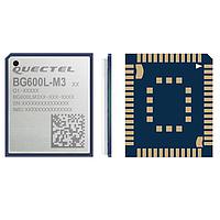 EGPRS, GNSS, LTE CatM1, LTE Cat NB2 Cat M1/Cat NB2/EGPRS + GNSS (không đồng thời WWAN), không VoLTE Quectel BG600LM3AA-D08-SGNSA