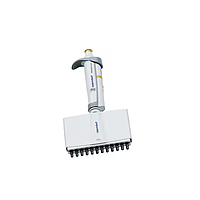 Eppendorf Research plus Micropipette (12 CH, 10-100ul)