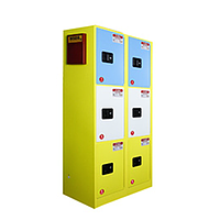 Sysbel WA032050 Partitioned Storage Chemical Safety Cabinets (30/114 Gal/L)