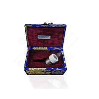 Đèn phụ trợ Lisun RLS-100W