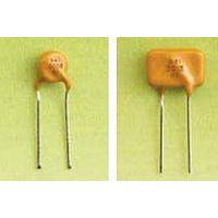 Bel Fuse 0ZRF0015FF2B Slow Blow Fuse