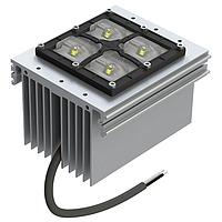 Mô-đun LED Trắng 5000K 70 CRI, 9250 lm New Energy MP22T1-C24-5070-WWW-1-00