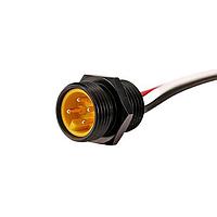 Cáp Cảm Biến / Cáp Bộ Chuyển Động 4 CHÂN MINI M RECPT US/NEC CLR CD 1M Amphenol SINE Systems MN41PW02M010