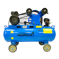 Máy nén khí dây đai PEGASUS TM-V-0.25/12.5-180L (220V, 12.5 Kg/cm, 180L)