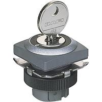 Bộ truyền động công tắc RAFIX 22 QR Công tắc khóa chìa 90 RAFI 1.30.245.271/0700