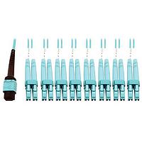 Cáp Quang 3M 24 Sợi MPO F/F 16SFBRPTCCBL AQ Tripp Lite N846D-03M-24CAQ