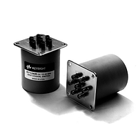 Telecomunication Switches