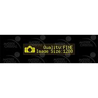 Matrix Orbital BLC2021-BK-IY PC Bay Inserts, LCD Characters 20x2 Ylw Txt Blk B/G No Key w/ Bk Bkt