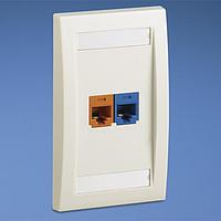 Panduit CFKE2A5U5J 모듈러 커넥터 / 이더넷 커넥터 페이스플레이트 2포트 Exec 2 Cat5e Ja