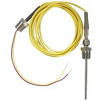 Palmer Wahl DSTPA31 Grounded Thermocouple Probes (Process Connection: 2" Diameter)