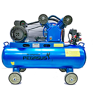 Máy nén khí dây đai PEGASUS TM-V-0.17/8-120L (220V, 8 Kg/cm, 120L)