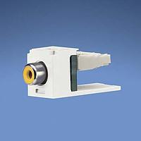 Module Đấu Nối RCA Phono Mini-Com Đục Lỗ Màu Xám Quốc Tế Panduit CJRYIG