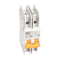 MCB Nhiệt-Từ 489 2P D 15A ACDC Weidmuller 2478920000