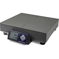 Mettler Toledo 30086210 BC Scale BCA-222-30U-1131-110