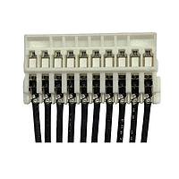 Bộ Nối Dây 2" XAF JUMPER ASSY 1:N JST Commercial A10XAF10XAF22K51B