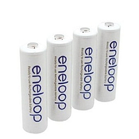 PHYWE 07930-03 Ni-MH 可充电电池 (1.2 V, 1900 mAh)