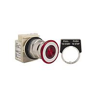 Square D 9001KR8P5RH25 Pushbutton Switches PSH BTTN 600VAC 10A 30MM, Type K