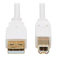 Cáp USB / Cáp IEEE 1394 6FT ANTIBCT USB2 AB CBL Tripp Lite U022AB-006-WH