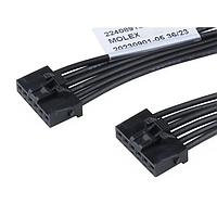 Cáp Chuyên Dụng KK Plus 250-to-KK Plus 250 2.50mm P SR 150mm Dài 6 Mạch Đen Molex 224089-1062
