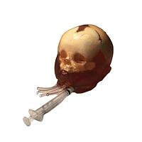 Mô hình đầu sơ sinh (động) dùng cho X-quang CT, siêu âm, MRI True Phantom Solutions HD-N03