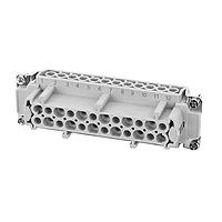 Amphenol Tuchel C146 10B024 400 1 インサート メスインサート 24ピン